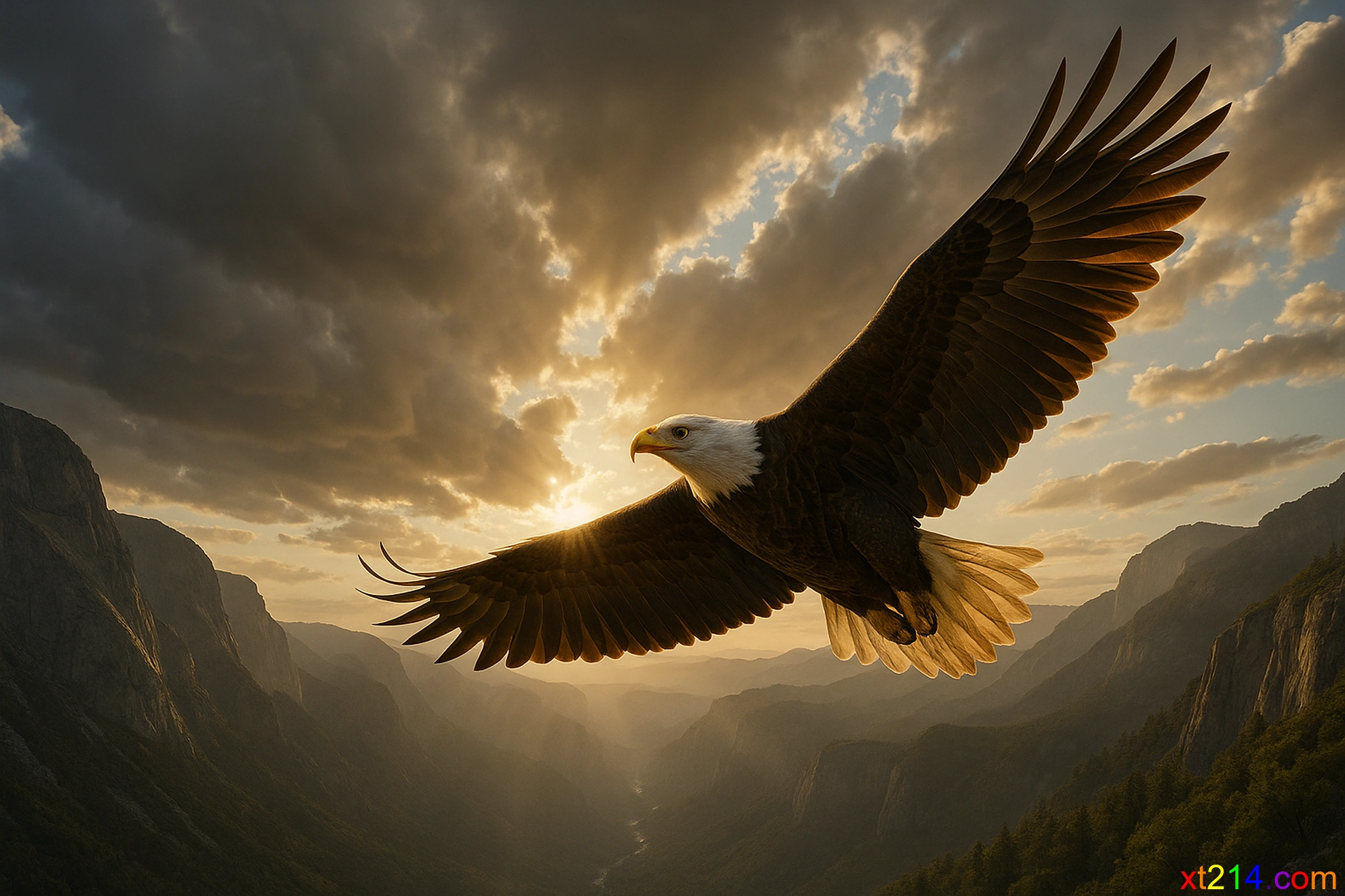 星辉看世界 – Xinhui Times