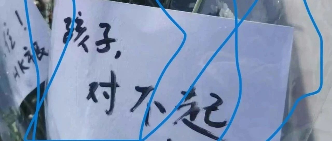 遇袭男童父亲发声：这是对儿子的赎罪，也是对犯人的报复