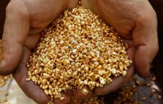 开采金矿的秘密：国内顶尖金矿设备与化学提金厂家深度学习之旅