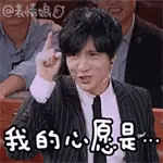 美国选举:民主困局 美国选举:民主困局