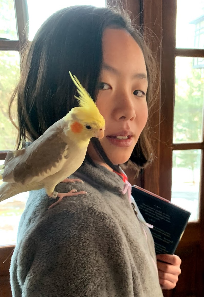 唐路得 - 一个信心的见证