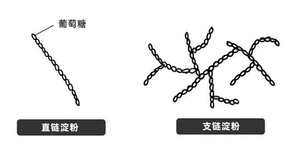 籼米对比，扬州炒饭的米粒选择