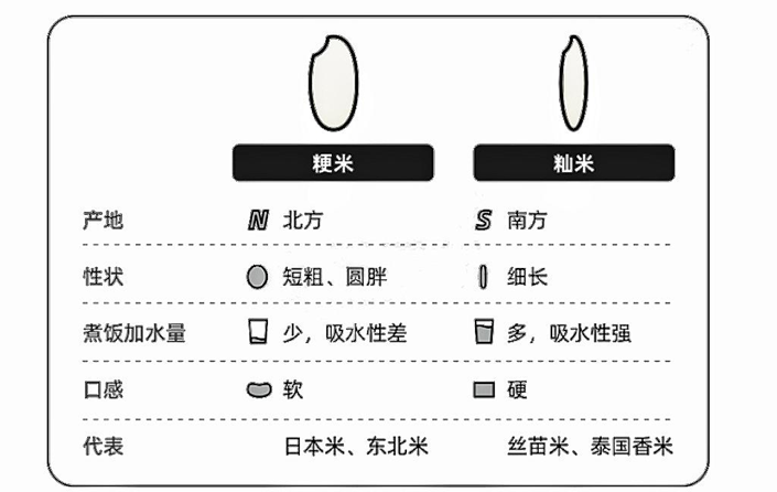 粳米图片，扬州炒饭的米类对比
