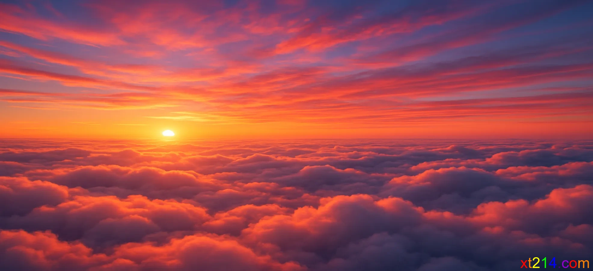 高空中的云层被夕阳染成金色和粉红色，美得令人心醉